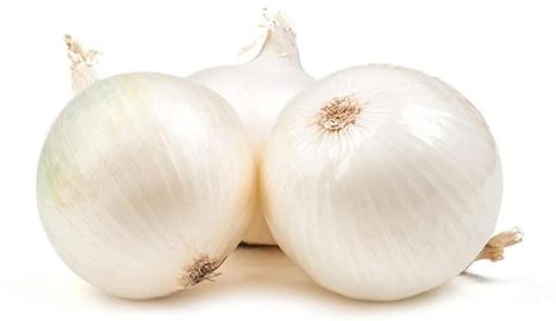 White Onion, Packaging Size : 10Kg, 20Kg, 50Kg