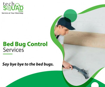 Bed Bug Control Services In Hyderabad