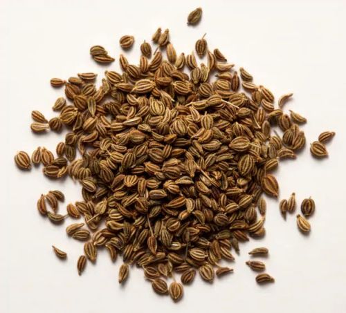 Organic Carom Seeds, Packaging Type : Plastic Packet