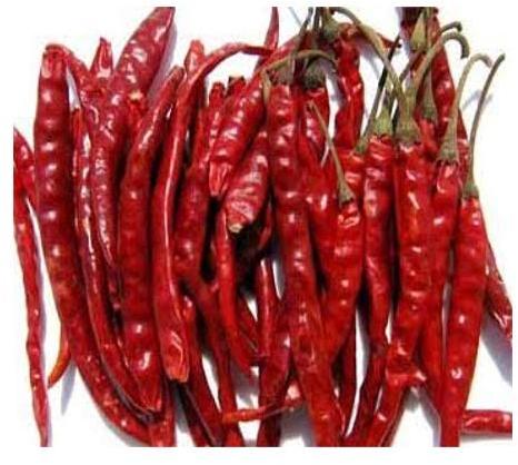 BFS Kashmiri Red Chilli, Packaging Type : Plastic Pouch, Plastic Packet, Plastic Box, Paper Box