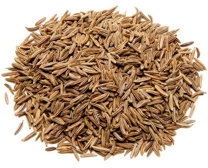 Vinayak Enterprise Organic Caraway Seeds, Color : Dark Brown