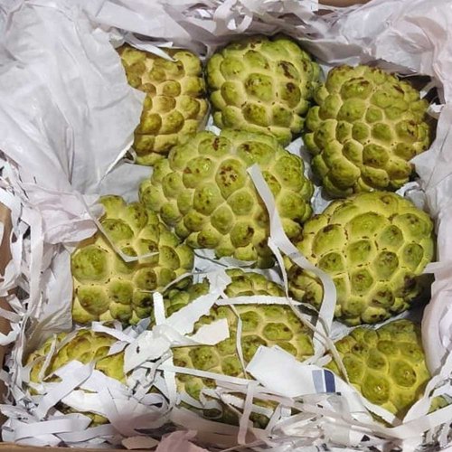 Natural Custard Apple, For Human Consumption, Packaging Type : Jute Bag