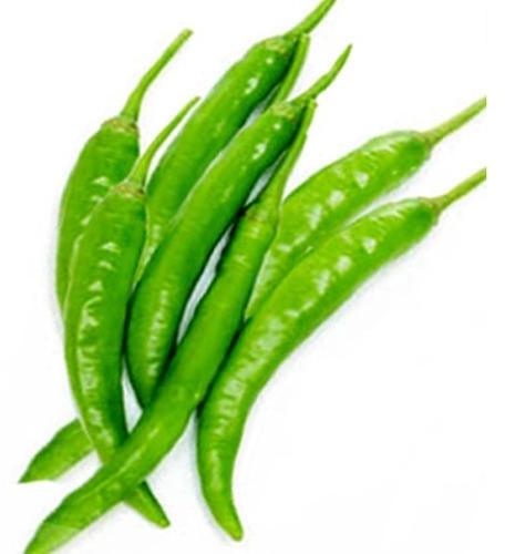 Fresh Long Chilli, Color : Green