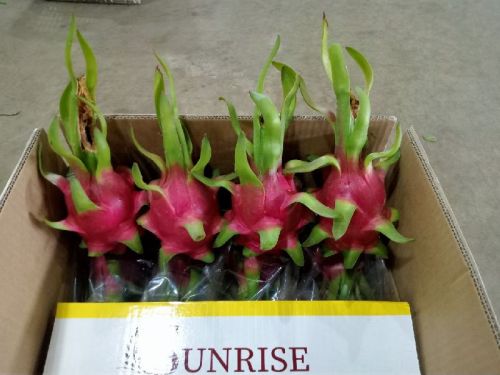 Dragon fruit for Sweet