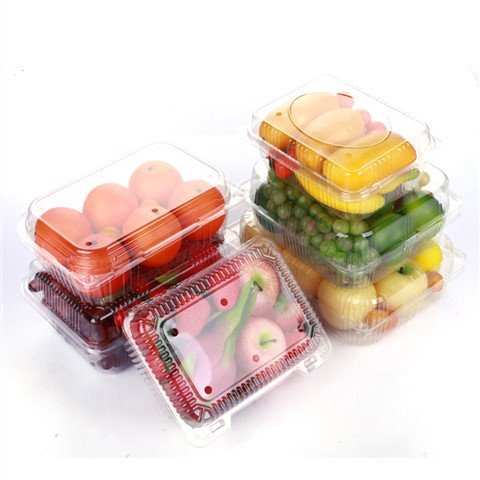 PP Plain Fruit Packing Container, Feature : Light Weight, Non Breakable