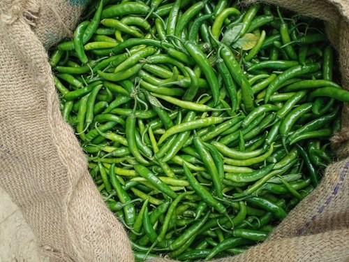 Raw Organic Chillies, For Cooking, Spices, Food Medicine, Form : Solid