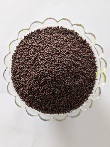 Keshav Black Mustard Seeds