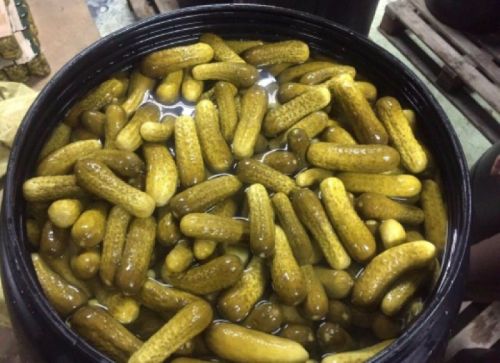 Jayam Agro Salt Pickled Gherkins, Feature : Hygienic