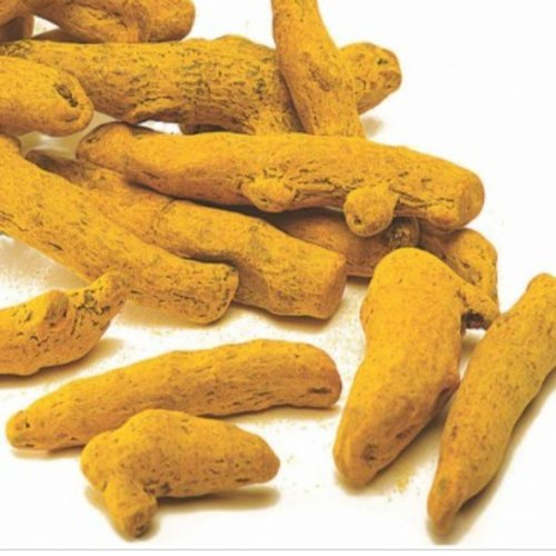 Yellow Turmeric, Packaging Size : 50 Kg