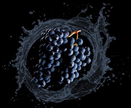 FROZEN BLACK GRAPES JUICE, Packaging Type : LDPE Bags, Drums