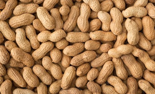 Organic Shelled Groundnuts, Color : Light Brown