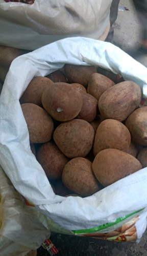 Dry Coconut, For RITUAL CEREMONY, Packaging Size : 15 KG