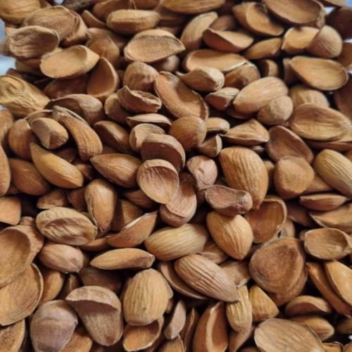 Afgani Mamra Grade Almond Kernels, Feature : Air Tight Packaging, Good Taste, Rich In Protein, Vitamin