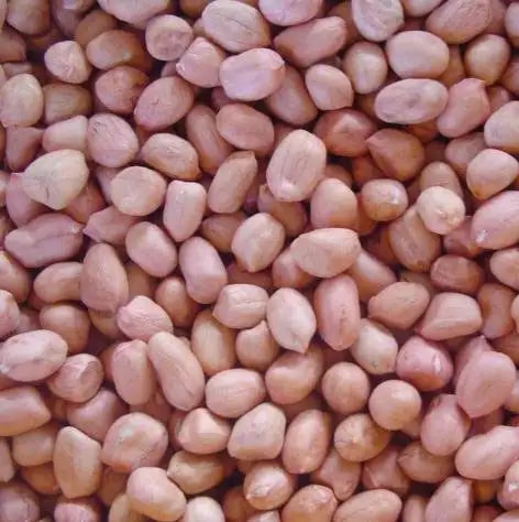 Red Bold Peanuts