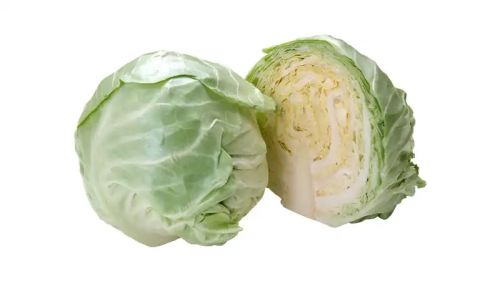 Organic Fresh Cabbage, For Good Nutritions, Good Health, Color : Green