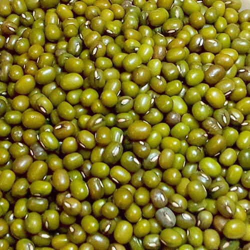 Natural Green Moong Dal, For Cooking, Form : Solid