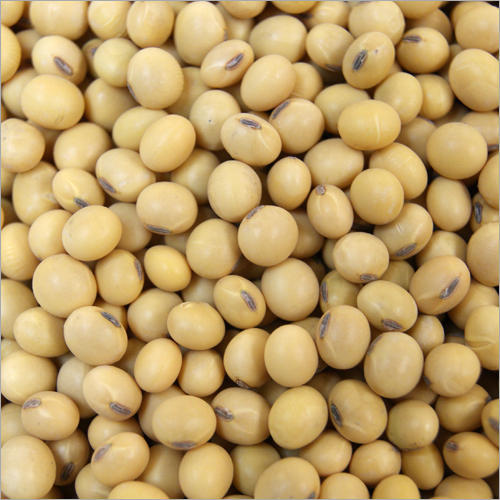 Organic Fresh Soybean Seeds