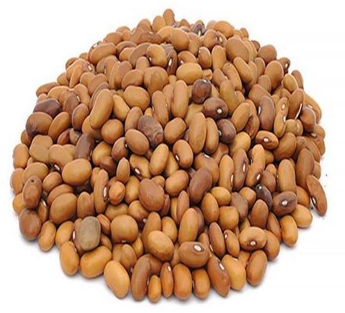 Moth Lentils, Color : Brown