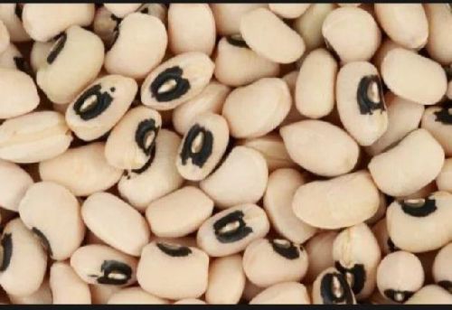 Black Eyed Beans, Packaging Type : White