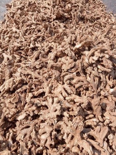 Brown Organic Dry Gingers, Packaging Size : 20Kg, 50Kg