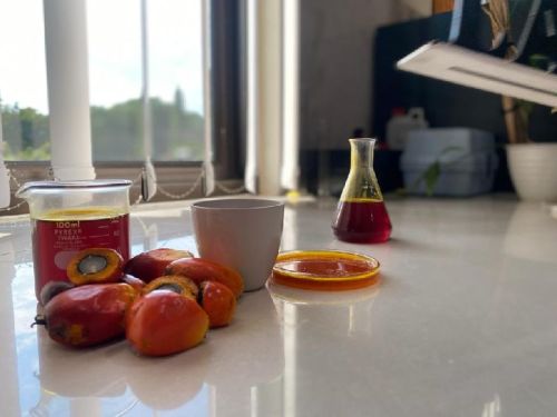 Crude palm oil, Purity : 100%