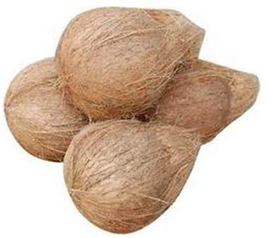 Organic semi husked coconut, Packaging Size : 25 pieces per bag