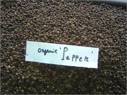 Organic Black Pepper Seeds, For Cooking, Feature : Fresh, Good Quality, Pure