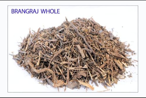 Common Bhringraj Roots, For Strengthening, Conditioning, Anti-allergic, Hair Care