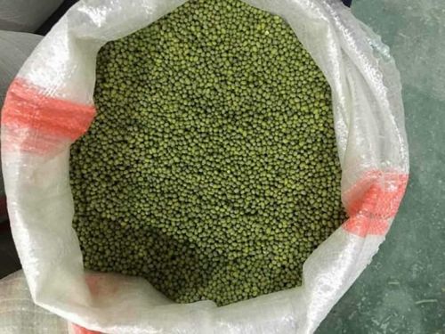 Common Green Mung Bean, Packaging Type : Vacuum Packed, Bulk, Can (Tinned), Gift Packing, Vacuum Pack