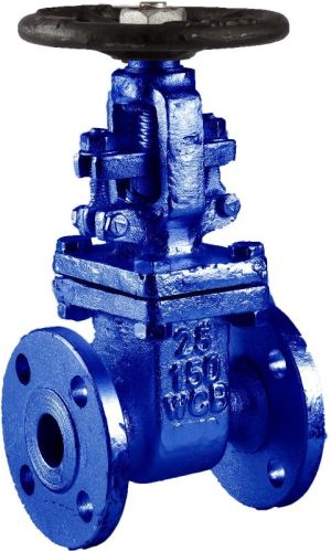 TIRTH Cast Steel Globe Valve