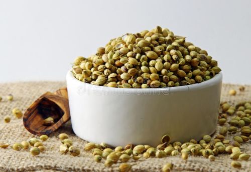 Natural Coriander Seeds, For Cooking, Food, Certification : FSSAI