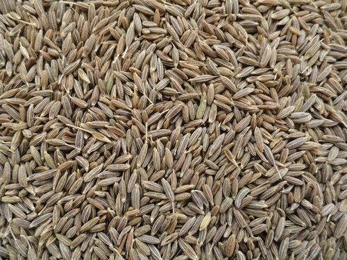 Cumin Seeds, Certification : FSSAI Certified, ISO Certified