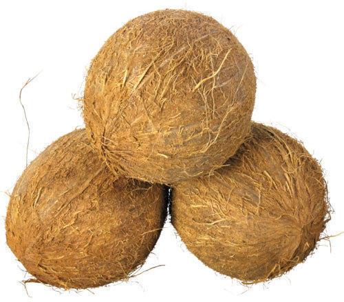 Fully Husked Organic Brown Raw Coconut, Form : Solid