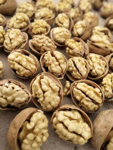 Walnuts, Packaging Type : PP Bag, Packaging Size : 25kg