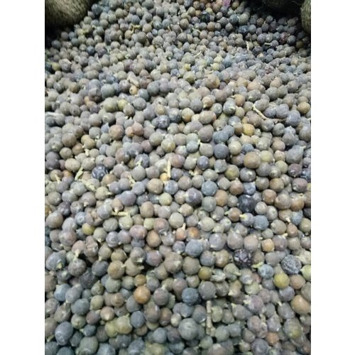 Juniper Berry, Purity : 98%