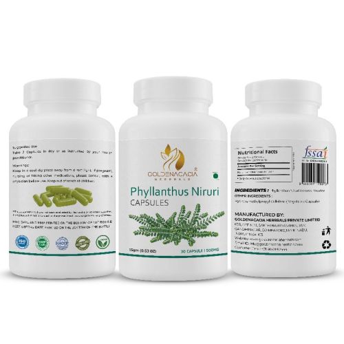 PHYLLANTHUS 500mg 30 CAPSULES
