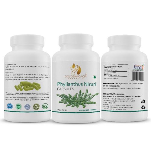 PHYLLANTHUS 500mg 60 CAPSULES