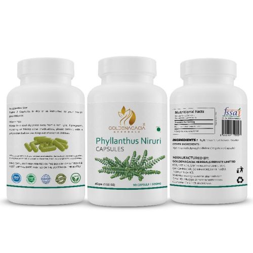 PHYLLANTHUS 500mg 90 CAPSULES