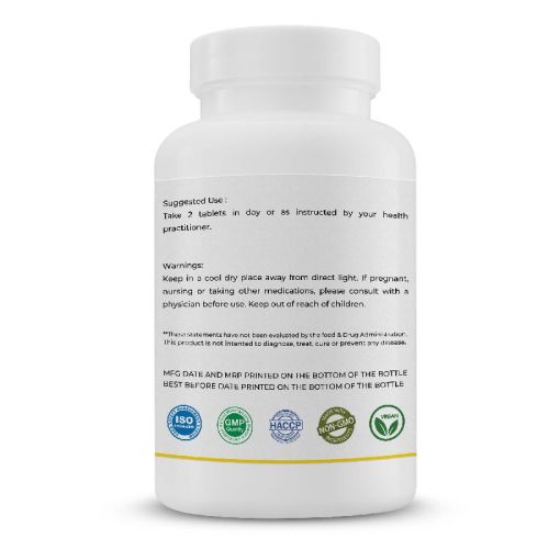 CURCUMIN 500MG 240 TABLETS