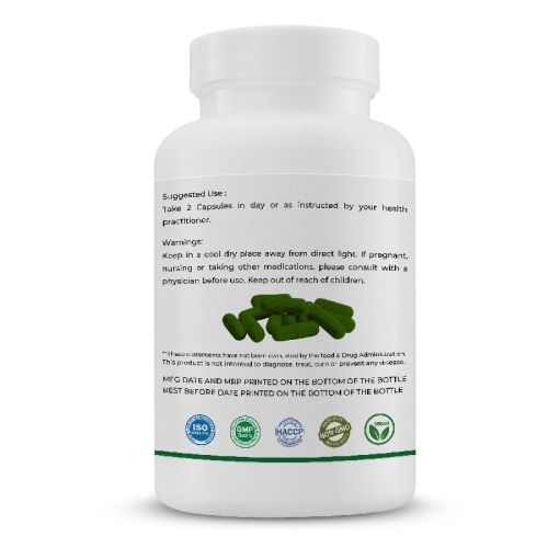 MORINGA LEAF 500 MG 90 CAPSULES, Grade : PHARMA