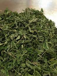 Common Nettle Leaf, Style : Dried