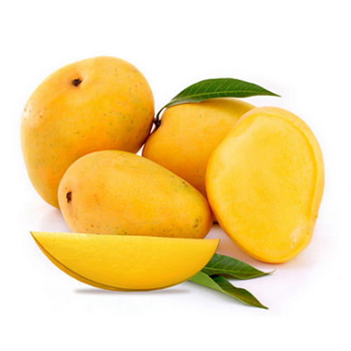 Organic Fresh Alphonso Mango, Shelf Life : 5-10Days