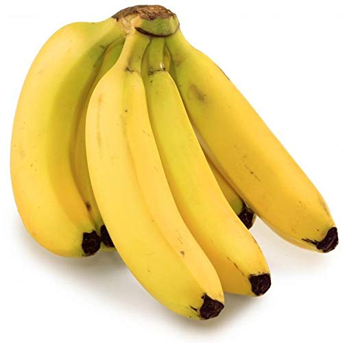 Organic Fresh Banana, Feature : Healthy Nutritious