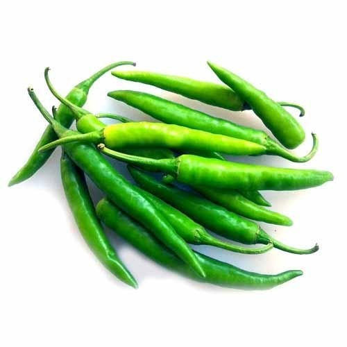 Organic Fresh Green Chili, For Good Nutritions, Good Health, Packaging Type : Plastic Packet