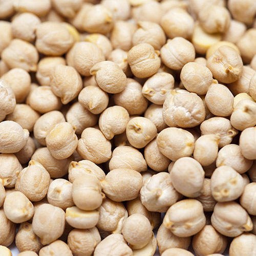 Organic White Chickpeas