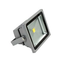 Atlas Aluminium LED Focus Light