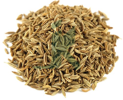 Cumin Seeds, Shelf Life : 5 Months