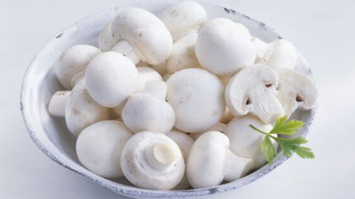 Fresh Button Mushroom, Packaging Type : Box