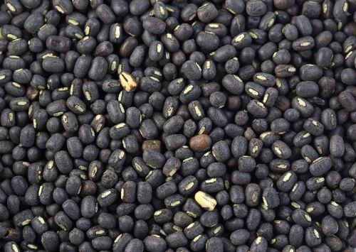 Black Gram, For Cooking, Certification : FSSAI