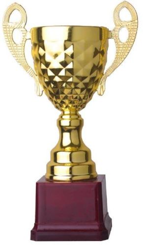 ABS Cup Trophy
